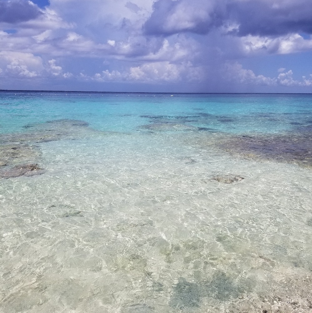 Meet your Posher, Sanya